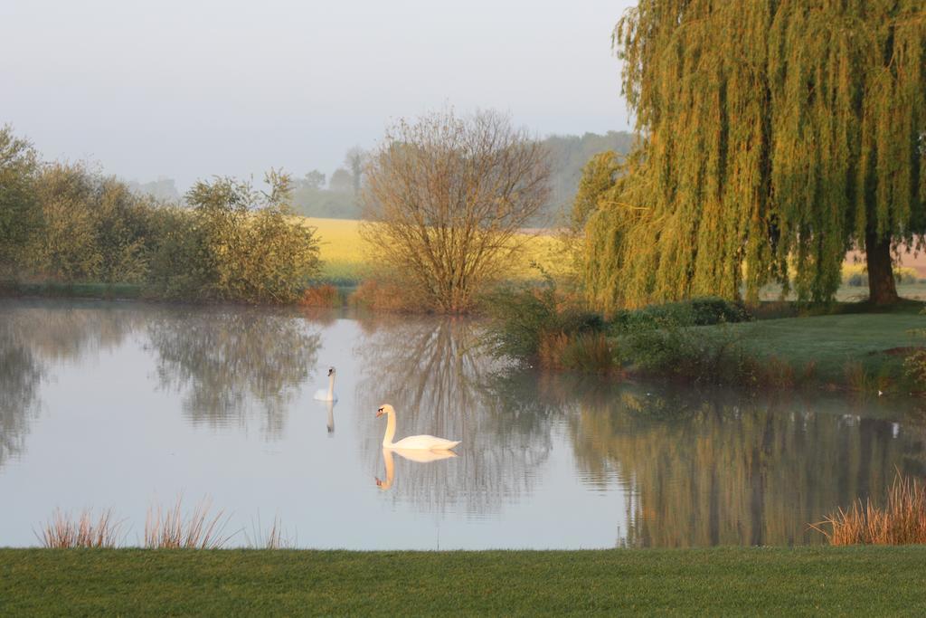 Domaine De La Guignardiere Viévy-le-Rayé エクステリア 写真